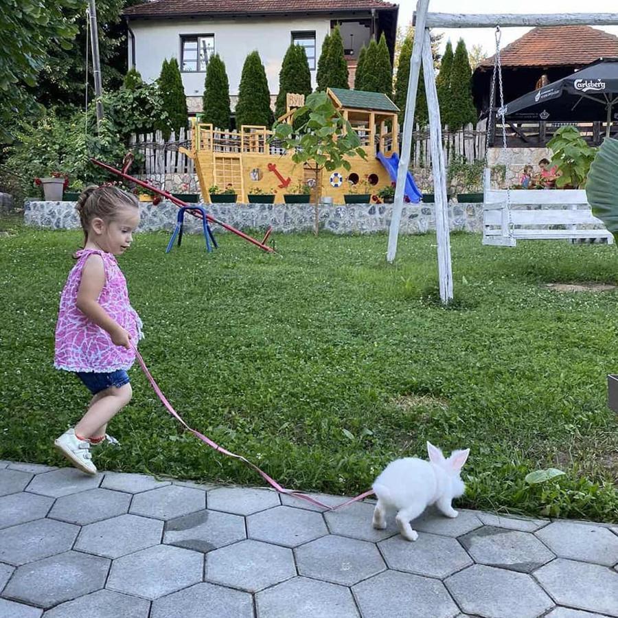 Bed and Breakfast Restoran,,Vuk,, Trsic Экстерьер фото
